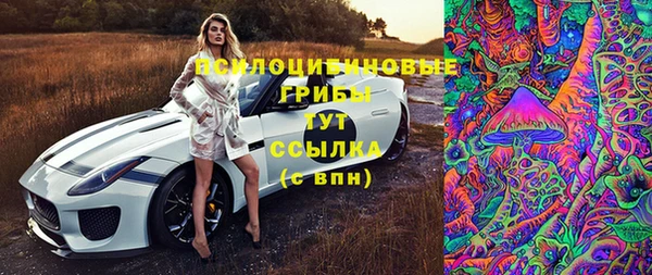 мяу мяу мука Арсеньев