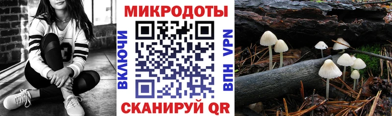Галлюциногенные грибы Psilocybe  закладки  Нязепетровск 